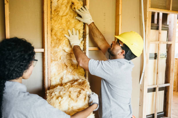 Types of Insulation We Offer in Frazer, PA